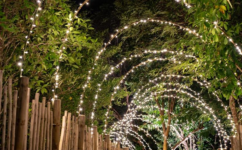 Why You Should Buy Low Voltage LED String Lights