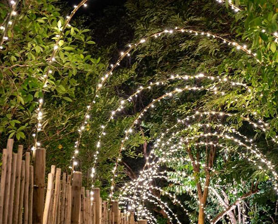 Why You Should Buy Low Voltage LED String Lights