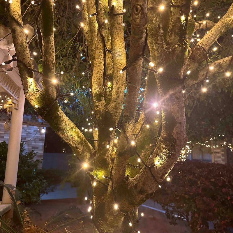 Christmas tree lights 5m 50LED Warm White Connectable fairy Lights