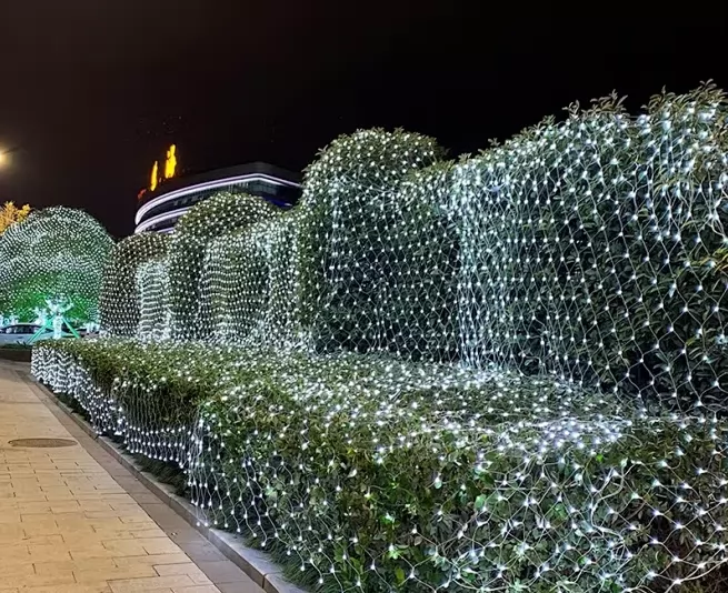 Net Lights Installation Guide